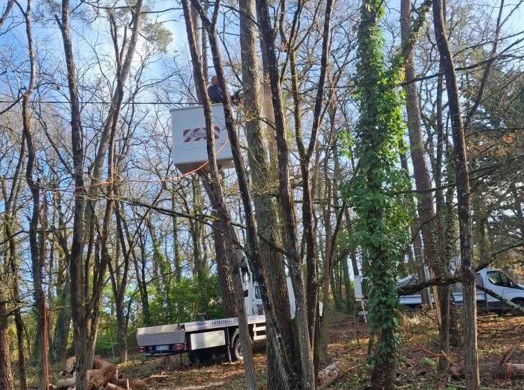 Nettoyage d’un terrain boisé et abattage d’arbres