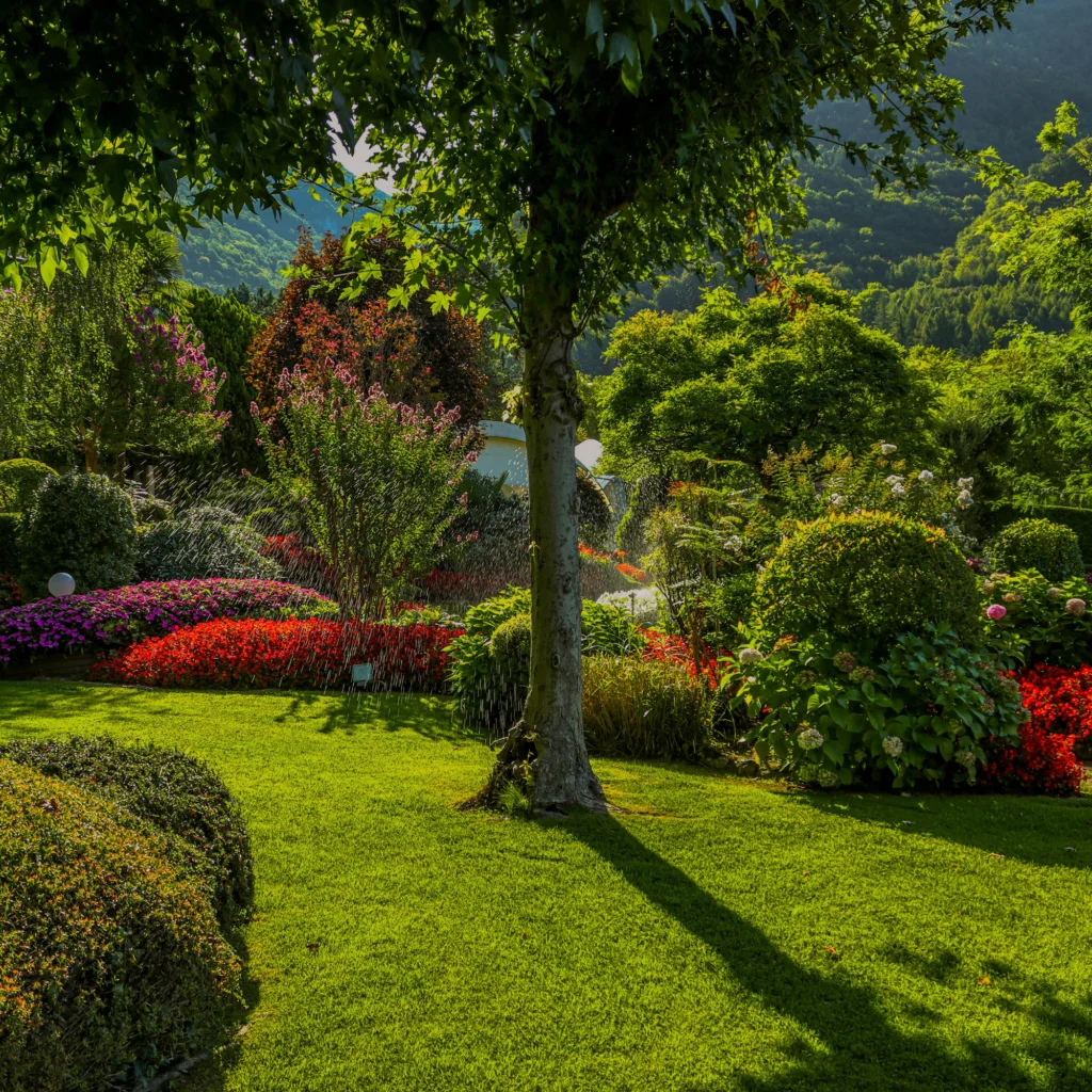 Jardin fleuri entretenu par un paysagiste